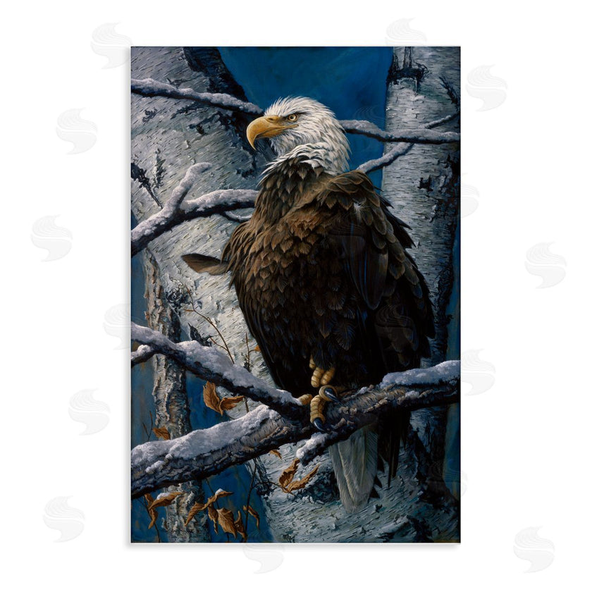 Tom Antonishak | America's Pride Bald Eagle