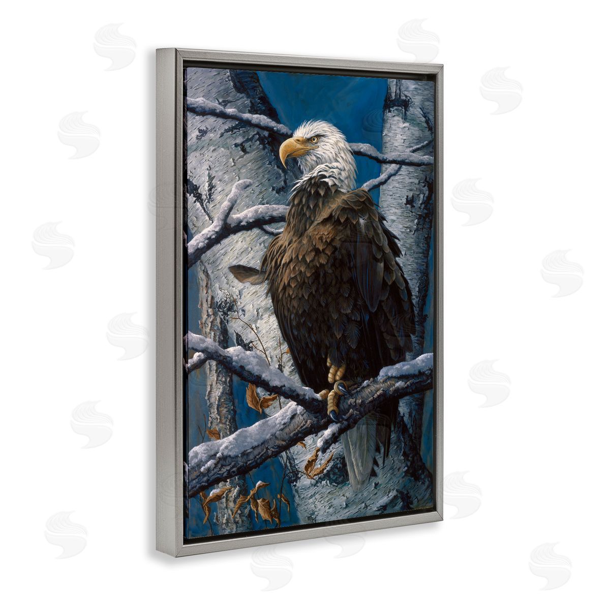 Tom Antonishak | America's Pride Bald Eagle