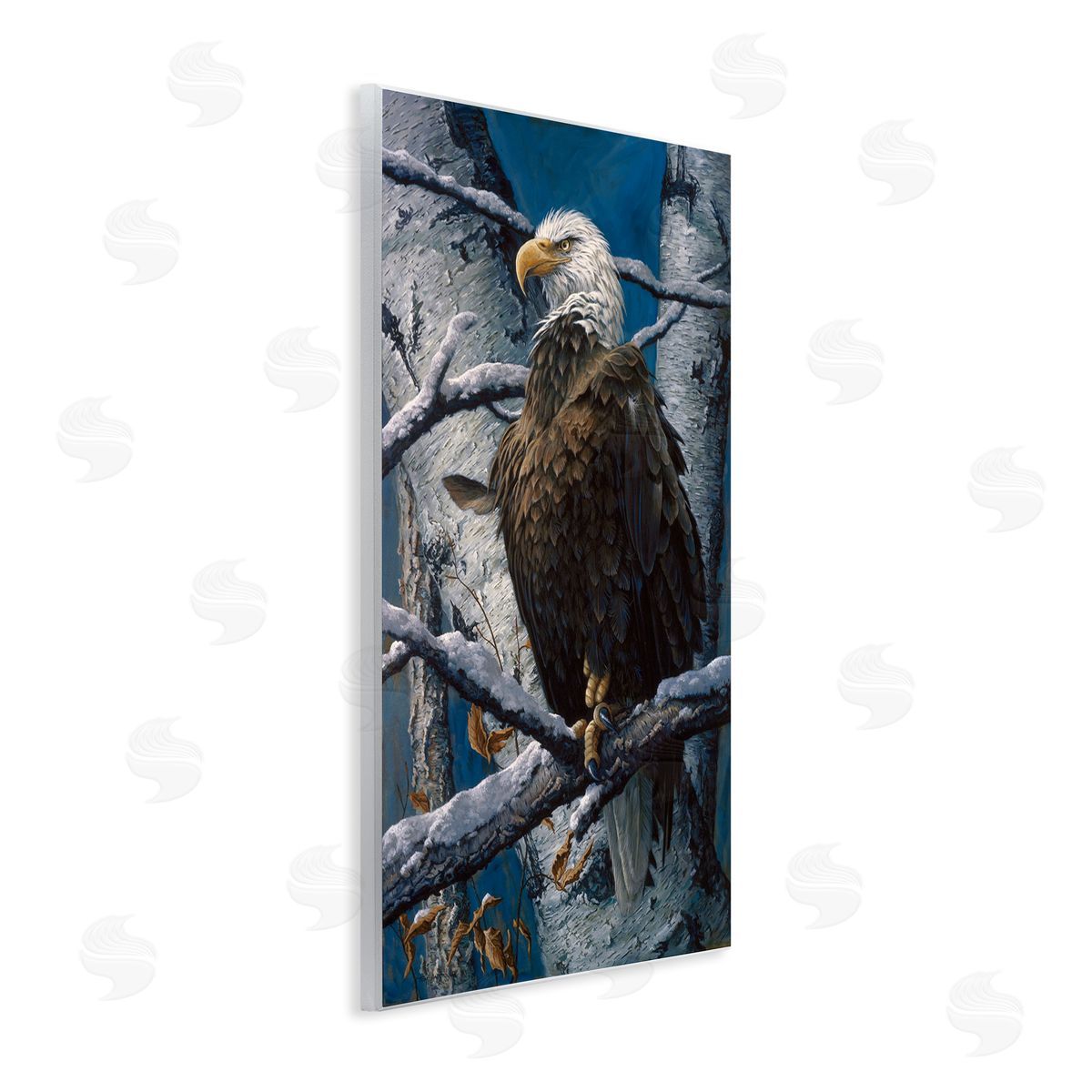 Tom Antonishak | America's Pride Bald Eagle