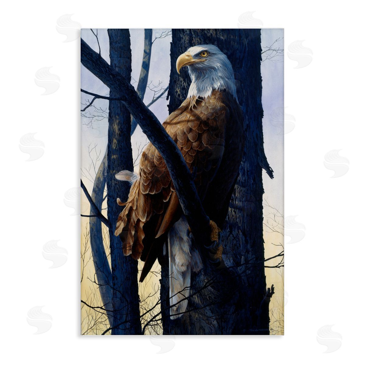 Tom Antonishak | Eagle's Light Majestic View
