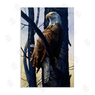 Tom Antonishak | Eagle's Light Majestic View
