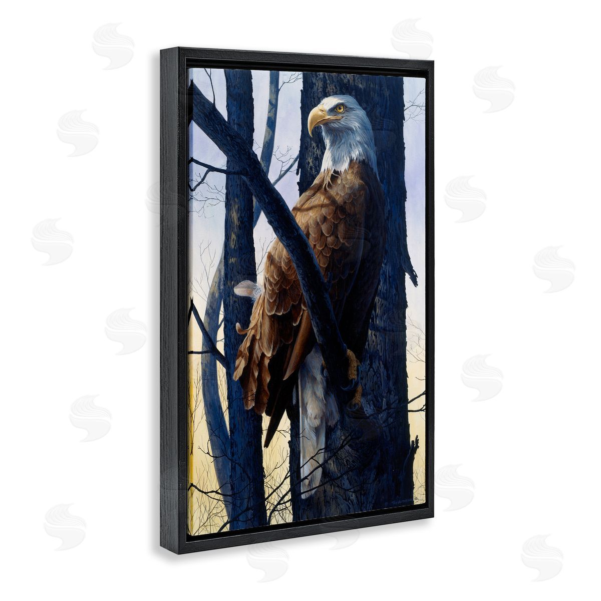 Tom Antonishak | Eagle's Light Majestic View