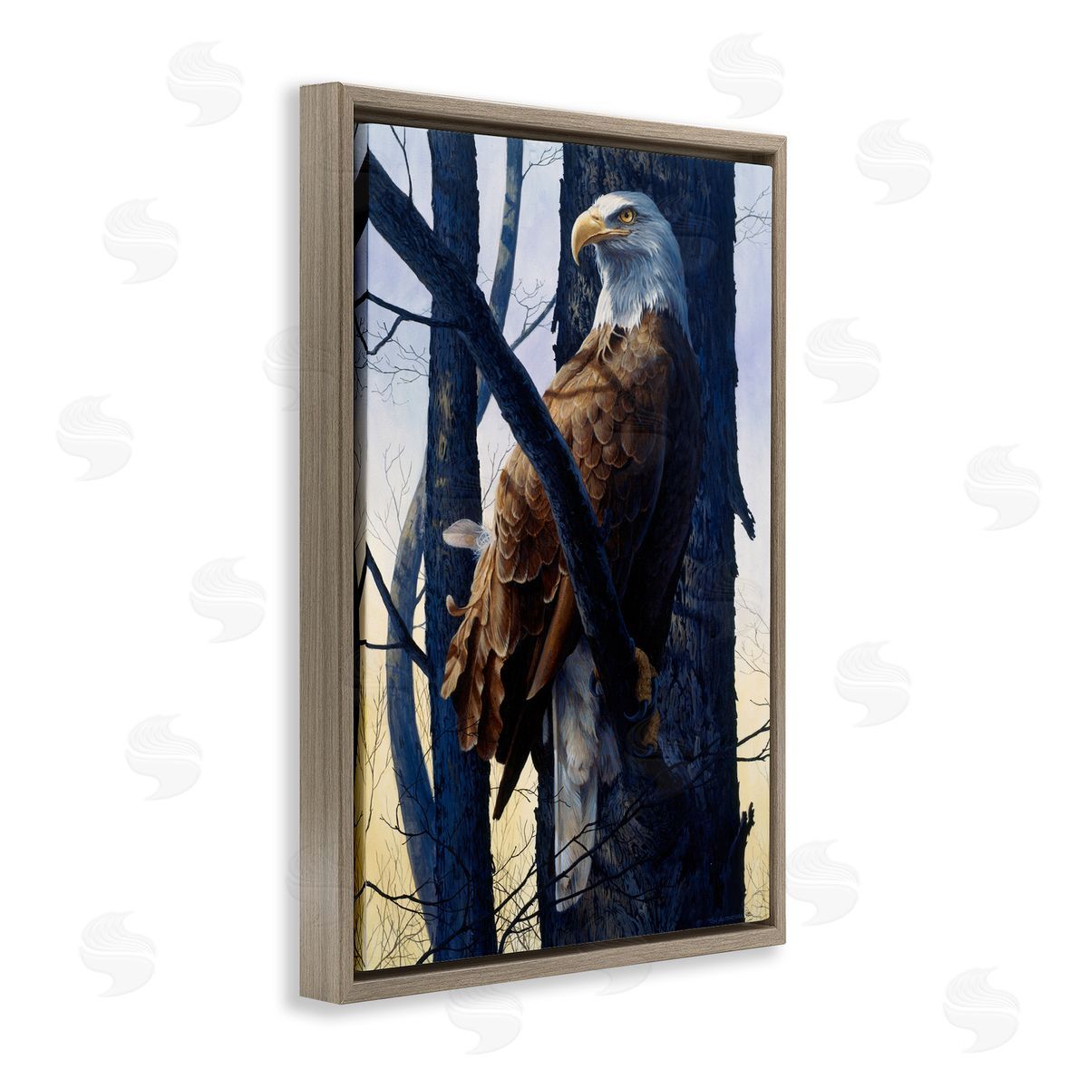 Tom Antonishak | Eagle's Light Majestic View