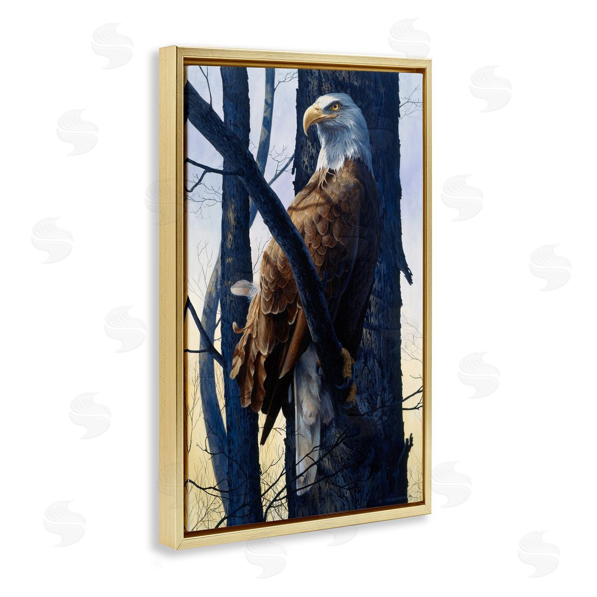 Tom Antonishak | Eagle's Light Majestic View