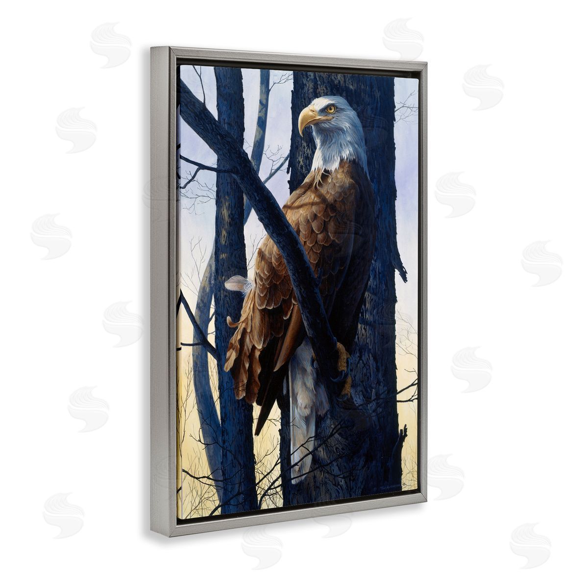 Tom Antonishak | Eagle's Light Majestic View