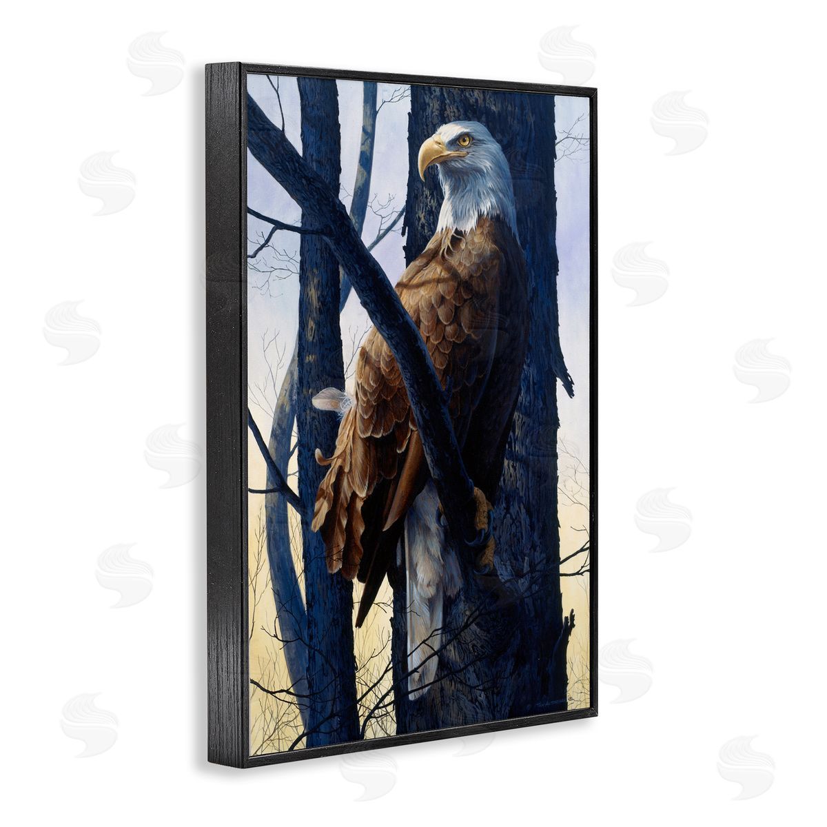 Tom Antonishak | Eagle's Light Majestic View