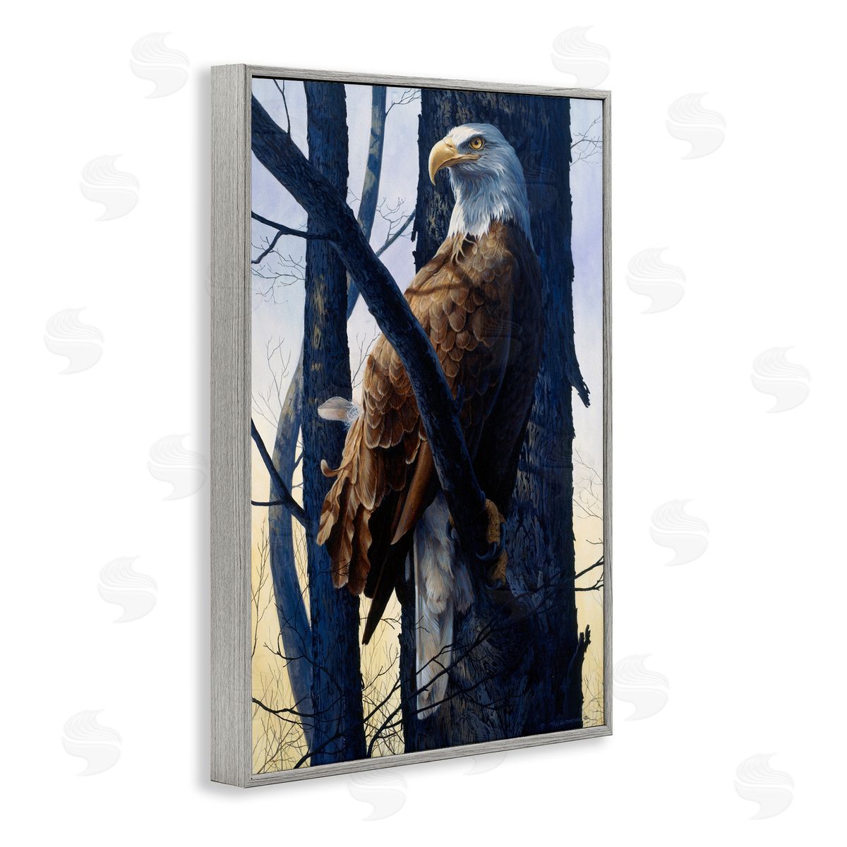 Tom Antonishak | Eagle's Light Majestic View