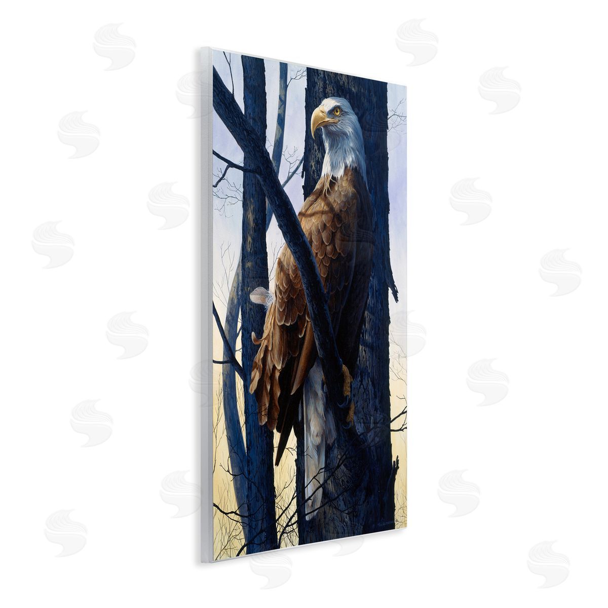 Tom Antonishak | Eagle's Light Majestic View