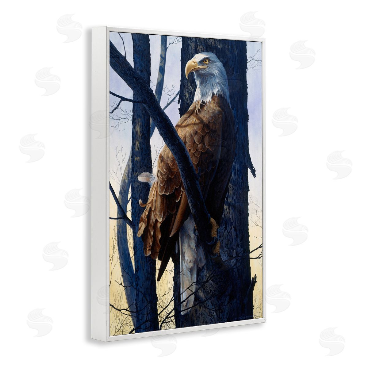 Tom Antonishak | Eagle's Light Majestic View