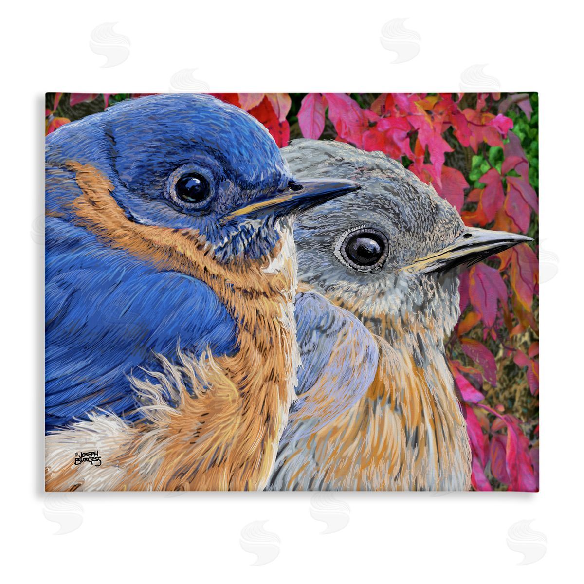 Joseph Burgess | Bluebird Pair over Leaves