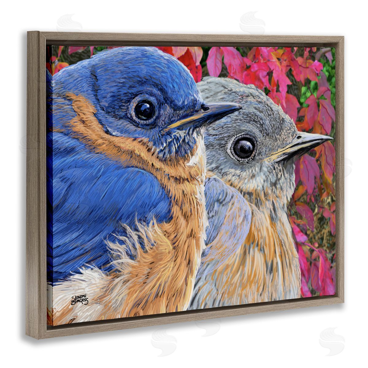 Joseph Burgess | Bluebird Pair over Leaves
