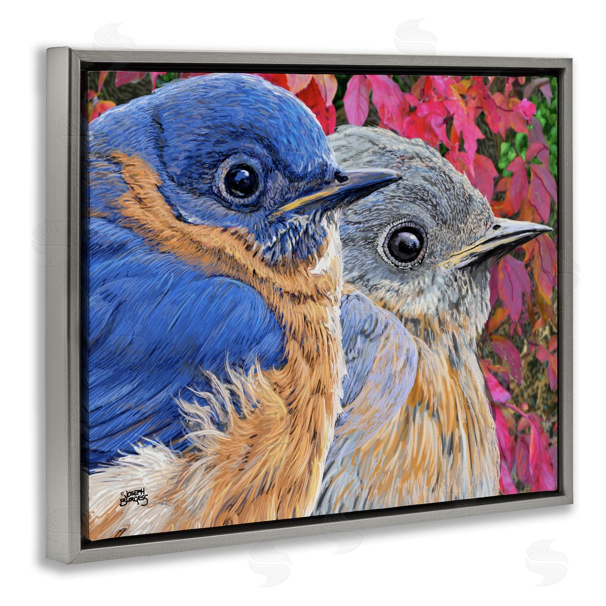 Joseph Burgess | Bluebird Pair over Leaves