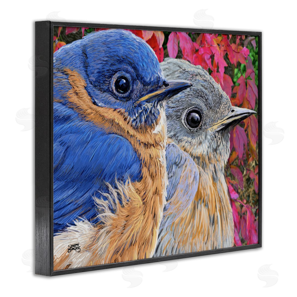 Joseph Burgess | Bluebird Pair over Leaves