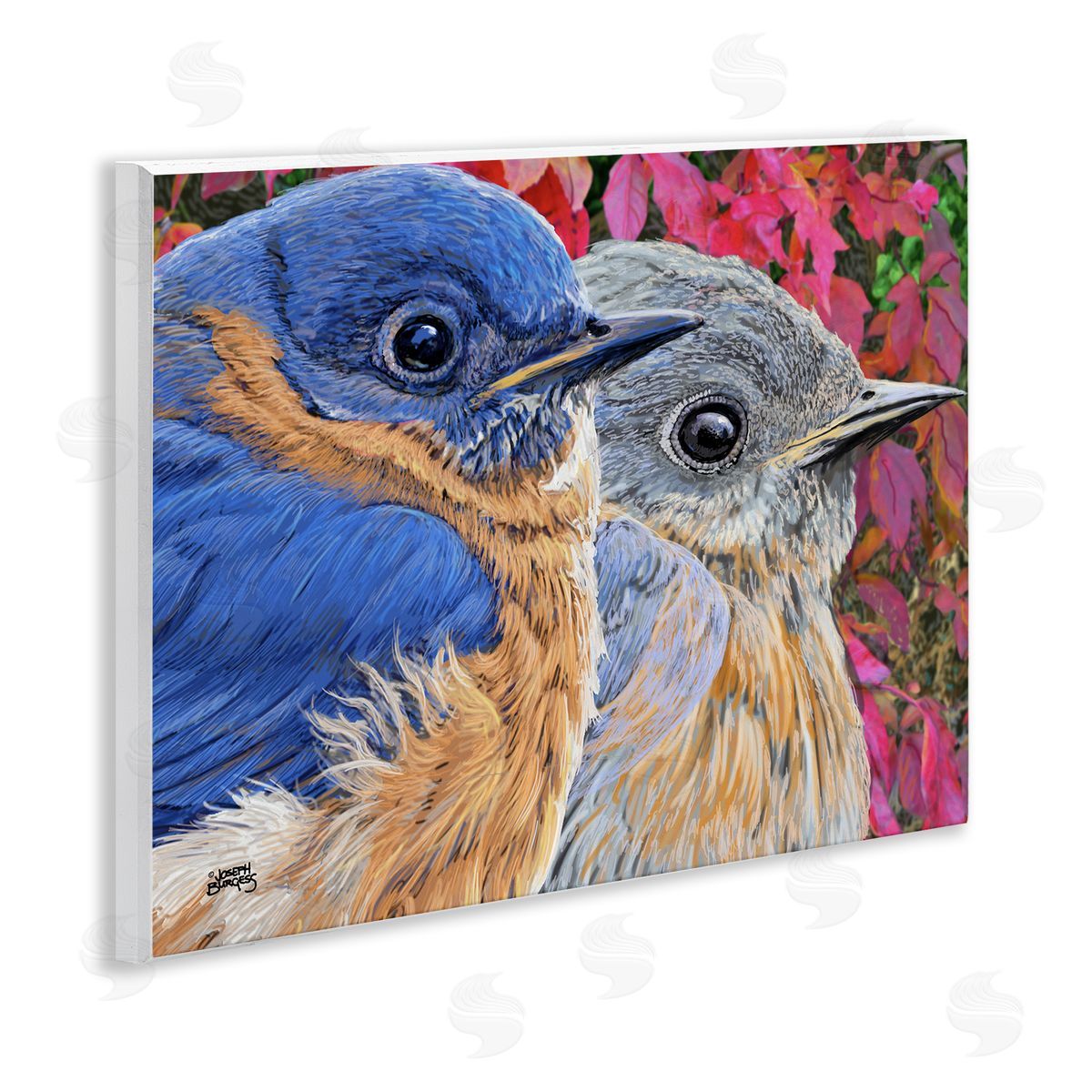 Joseph Burgess | Bluebird Pair over Leaves