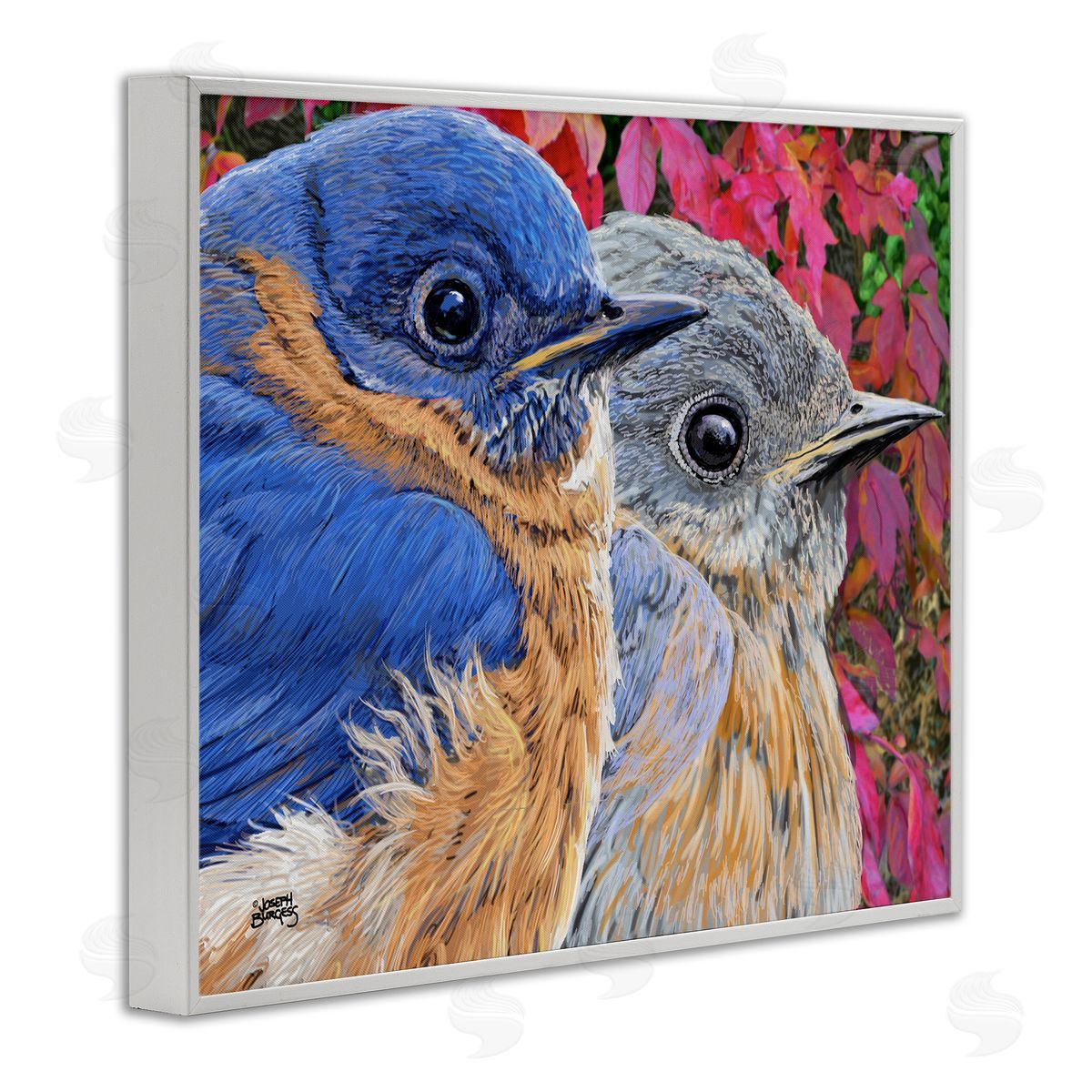 Joseph Burgess | Bluebird Pair over Leaves