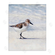 Denise Brown | Blue Coast Sandpiper Painting