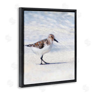 Denise Brown | Blue Coast Sandpiper Painting