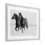 Amy Carroll | Galloping Winter Horses