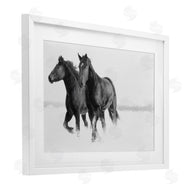 Amy Carroll | Galloping Winter Horses
