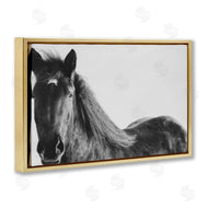 Amy Carroll | Black Horse in Winter
