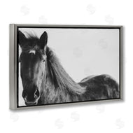Amy Carroll | Black Horse in Winter