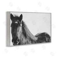 Amy Carroll | Black Horse in Winter