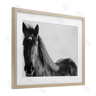 Amy Carroll | Black Horse in Winter