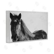 Amy Carroll | Black Horse in Winter