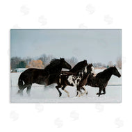 Amy Carroll | Winter Herd of Horses