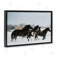 Amy Carroll | Winter Herd of Horses