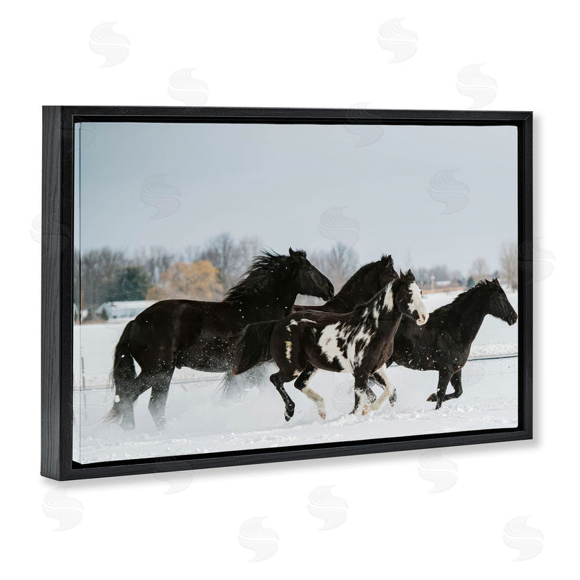 Amy Carroll | Winter Herd of Horses