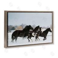 Amy Carroll | Winter Herd of Horses