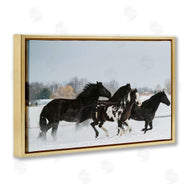 Amy Carroll | Winter Herd of Horses