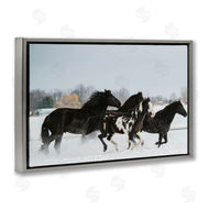 Amy Carroll | Winter Herd of Horses
