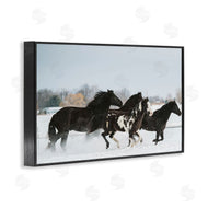 Amy Carroll | Winter Herd of Horses