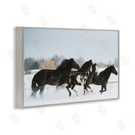 Amy Carroll | Winter Herd of Horses