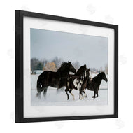 Amy Carroll | Winter Herd of Horses