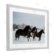 Amy Carroll | Winter Herd of Horses