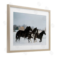 Amy Carroll | Winter Herd of Horses