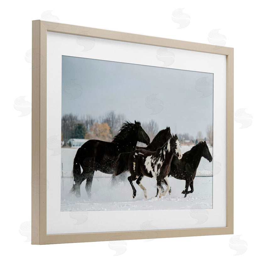 Amy Carroll | Winter Herd of Horses