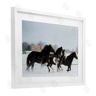 Amy Carroll | Winter Herd of Horses