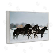 Amy Carroll | Winter Herd of Horses