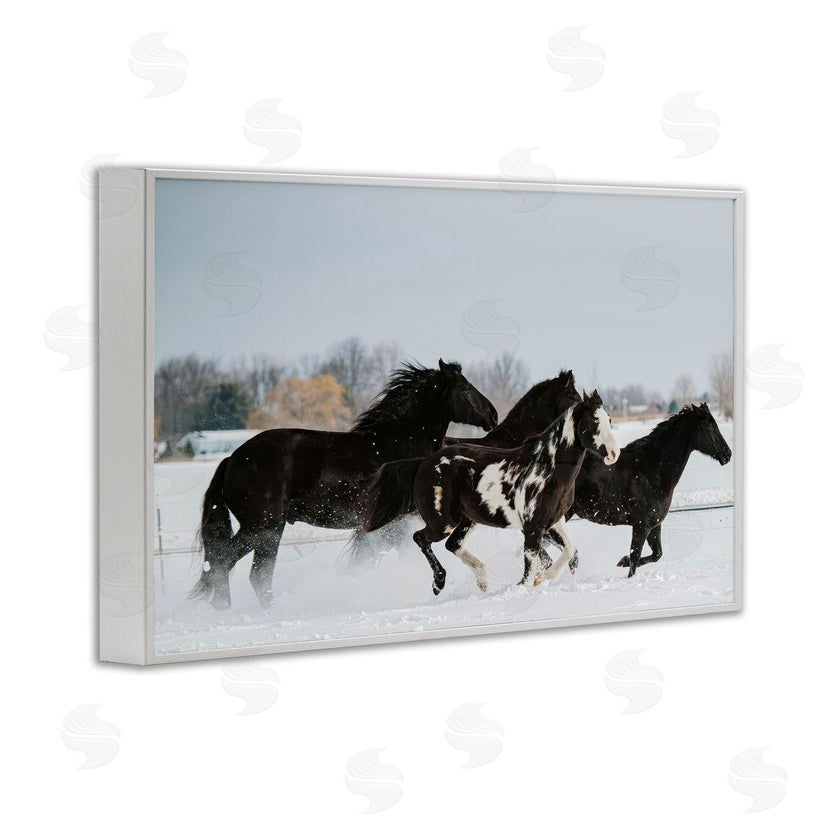 Amy Carroll | Winter Herd of Horses