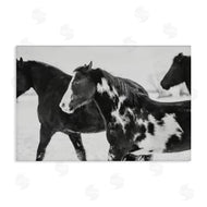Amy Carroll | Black & White Winter Horses