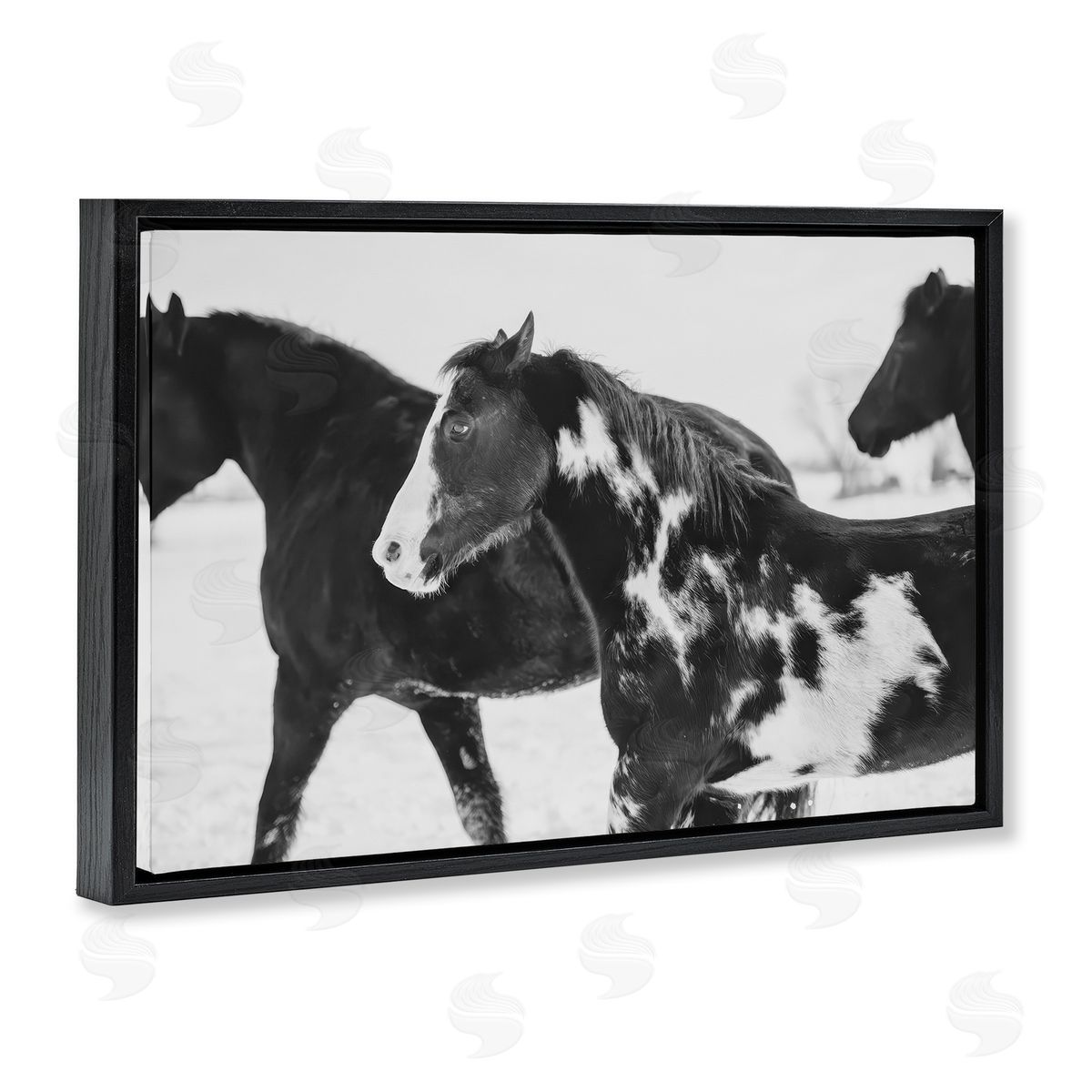 Amy Carroll Black & White Winter Horses Canvas Wall Art Print