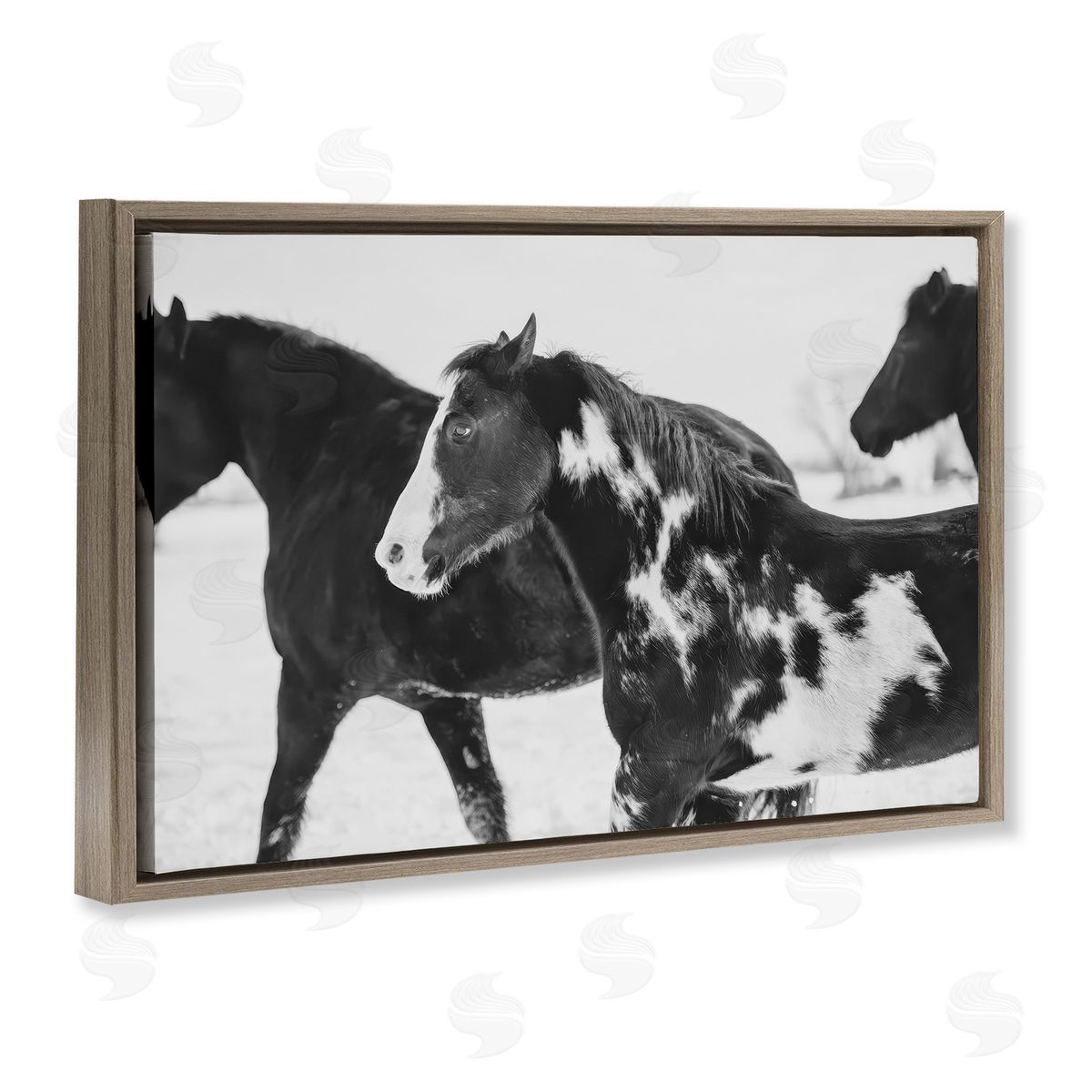 Amy Carroll Black & White Winter Horses Canvas Wall Art Print