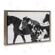 Amy Carroll | Black & White Winter Horses