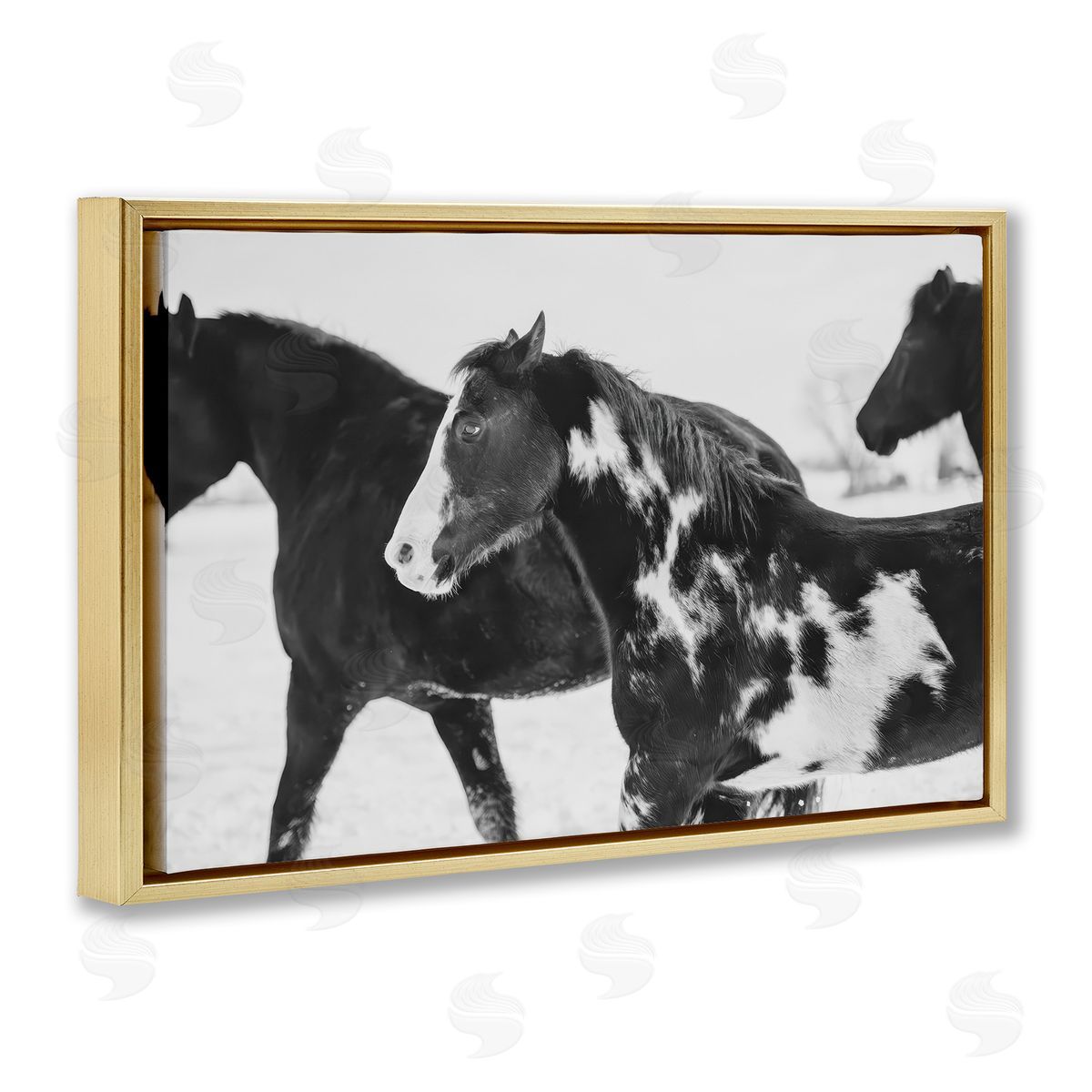 Amy Carroll Black & White Winter Horses Canvas Wall Art Print