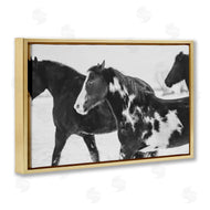 Amy Carroll | Black & White Winter Horses