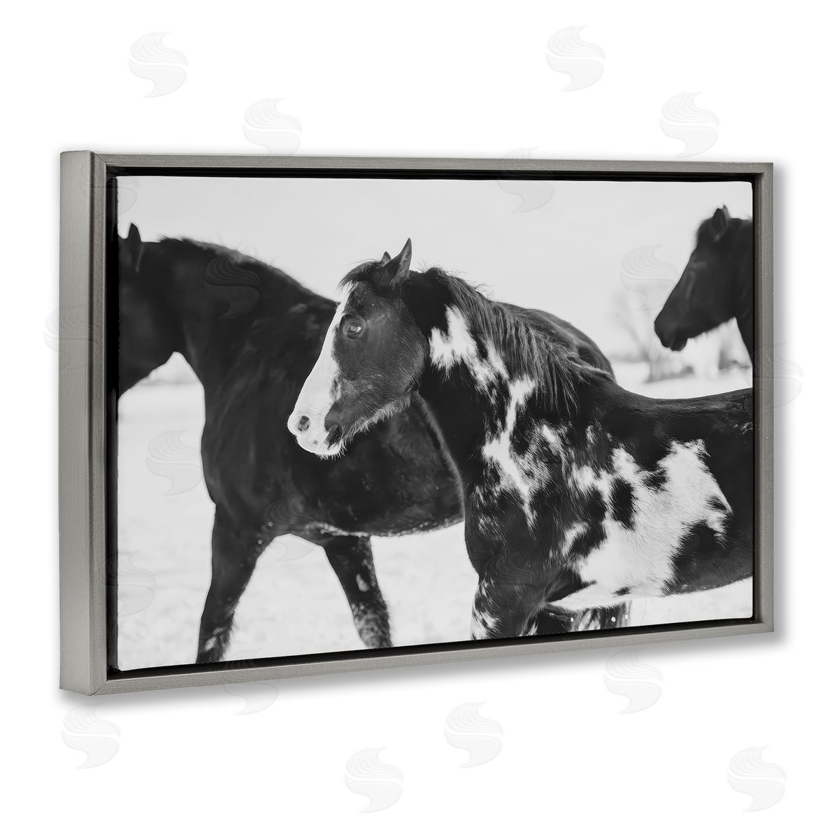 Amy Carroll Black & White Winter Horses Canvas Wall Art Print